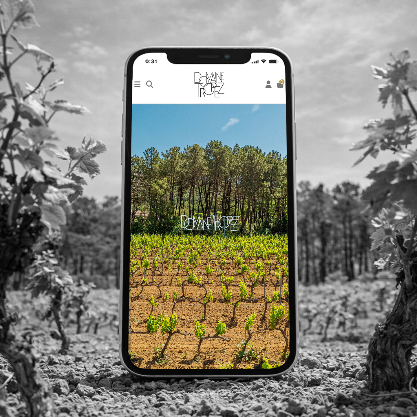 Domaine Tropez - Site marchand - Gassin