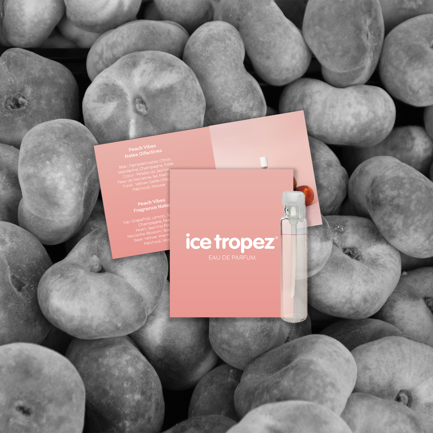 Réalisation communication - Cartes d'échantillon parfum - Ice Tropez - Gassin