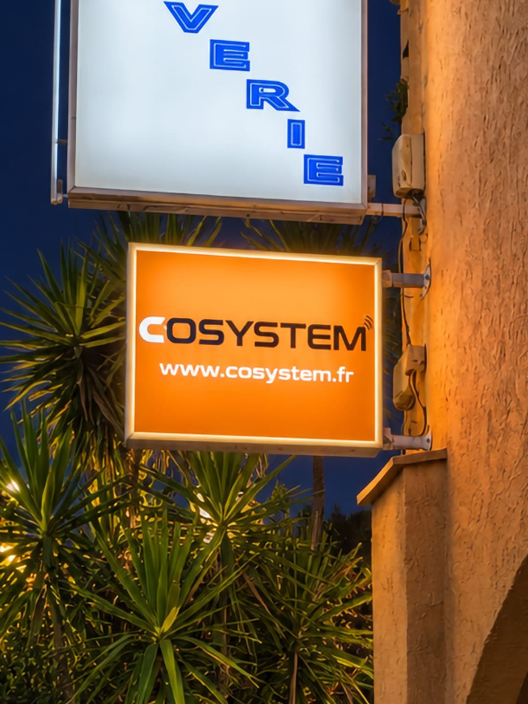 Cosystem
